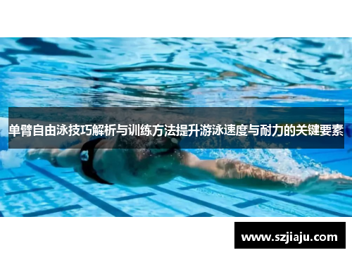单臂自由泳技巧解析与训练方法提升游泳速度与耐力的关键要素