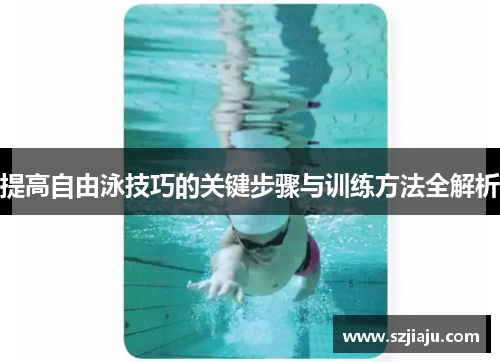 提高自由泳技巧的关键步骤与训练方法全解析
