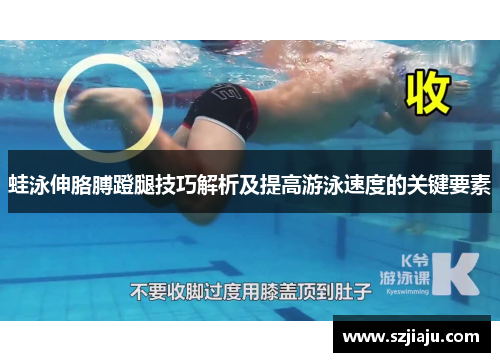 蛙泳伸胳膊蹬腿技巧解析及提高游泳速度的关键要素