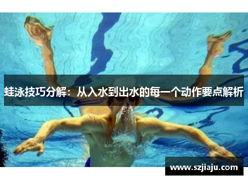 蛙泳技巧分解：从入水到出水的每一个动作要点解析
