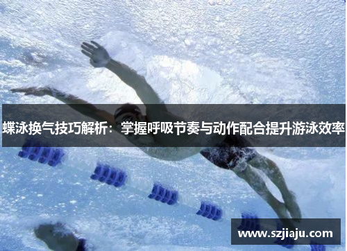 蝶泳换气技巧解析：掌握呼吸节奏与动作配合提升游泳效率