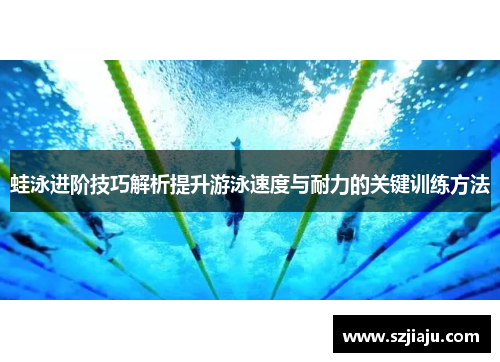 蛙泳进阶技巧解析提升游泳速度与耐力的关键训练方法