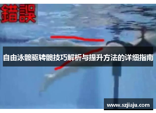 自由泳髋驱转髋技巧解析与提升方法的详细指南