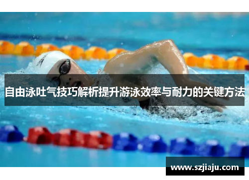 自由泳吐气技巧解析提升游泳效率与耐力的关键方法